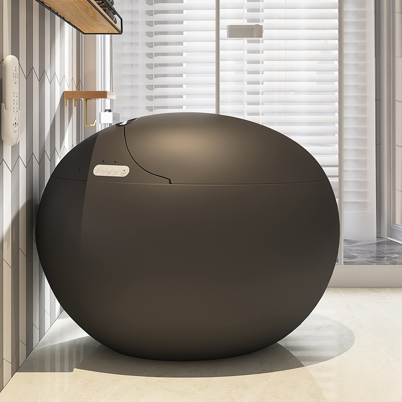 Minimalist Ceramic Egg Smart Toilet in Matte Grey – Advanced Intelligent Bidet System