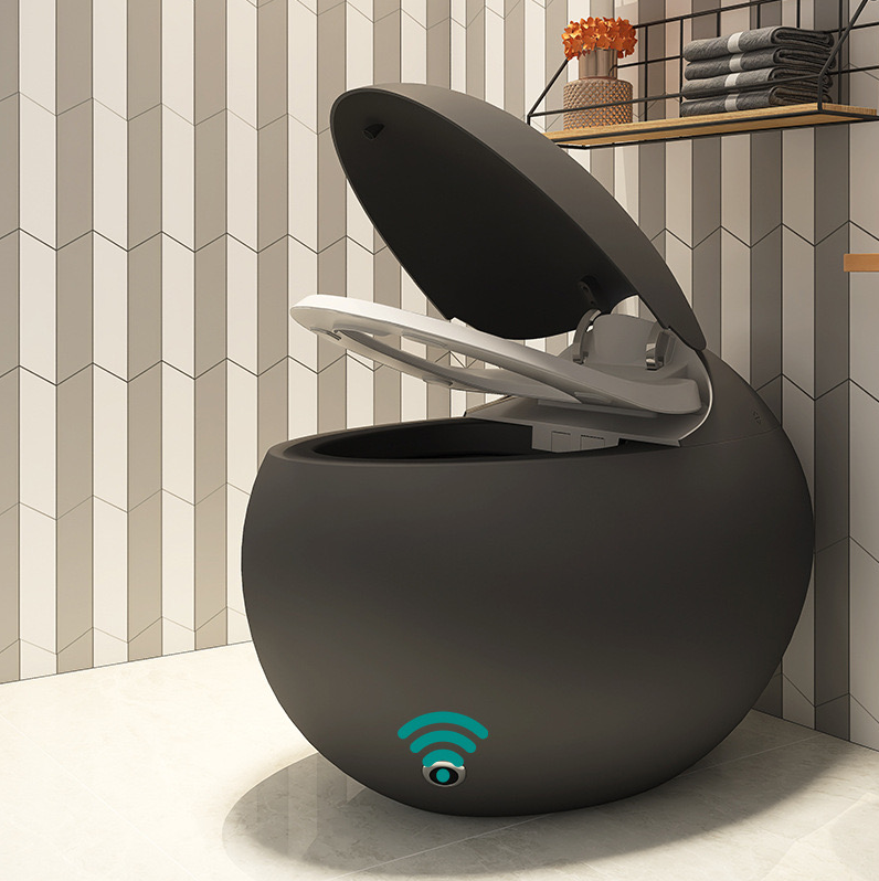 Minimalist Ceramic Egg Smart Toilet in Matte Grey – Advanced Intelligent Bidet System