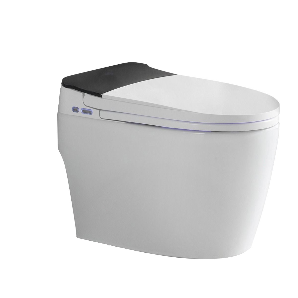 ACiQ Smart Toilet, ADA One-Piece with Bidet, Auto Flush, Heated Seat, LED Display