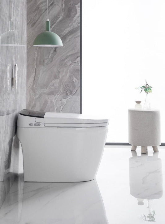 ACiQ Smart Toilet, ADA One-Piece with Bidet, Auto Flush, Heated Seat, LED Display