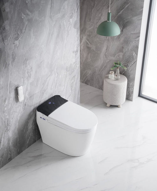 ACiQ Smart Toilet, One-Piece with Bidet, Auto Flush, Heated Seat, LED Display, Non ADA