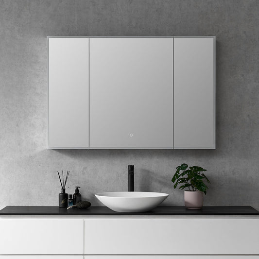 Carsoli Rectangle Frameless Surface-Mount/Recessed LED Lighted Bathroom Medicine Cabinet
