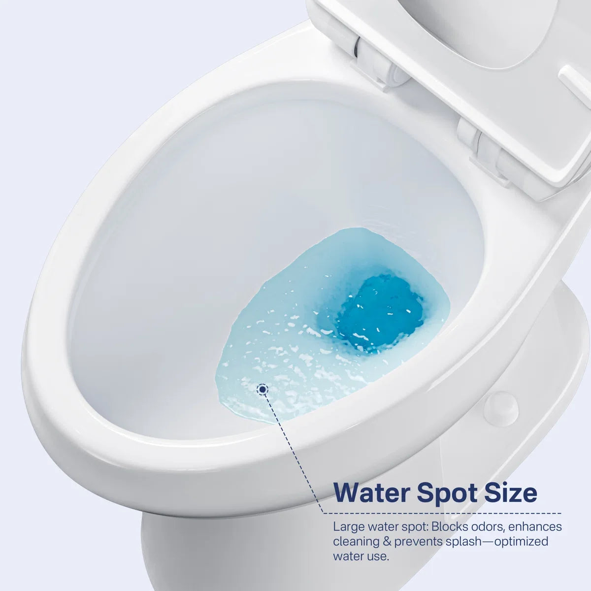 Dayton Elongated 18.9" Chair Height Two-Piece Toilet, Single or Dual Flush, Soft-Close Seat