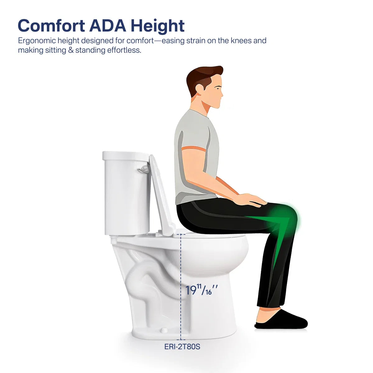 Dayton Round 18.9" Chair Height Two-Piece Toilet, 1.28 GPF Single Flush, Soft-Close Seat