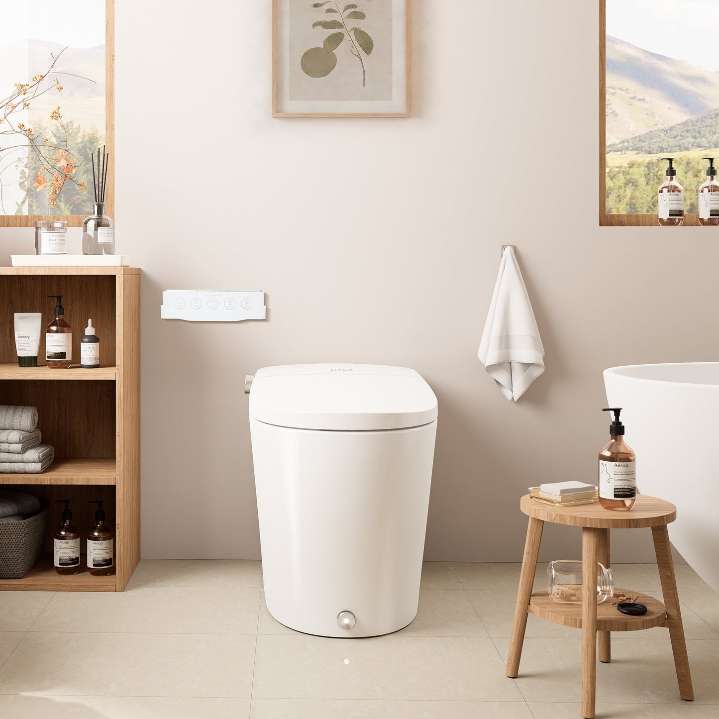 Natalie Smart Toilet with Tank Flush Bidet Wash