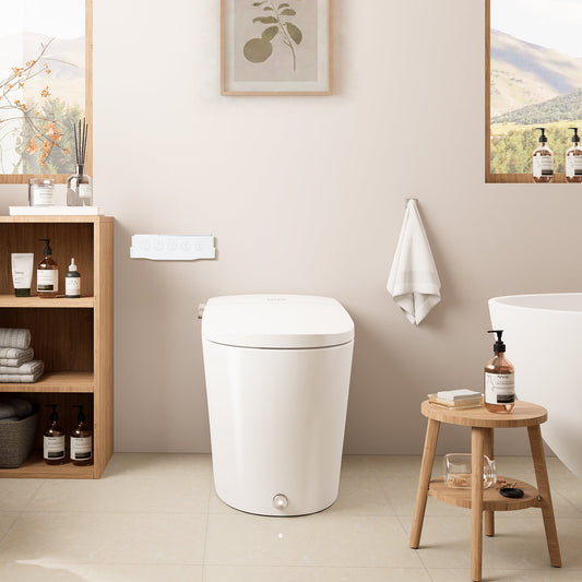 Natalie Smart Toilet with Tank Flush Bidet Wash