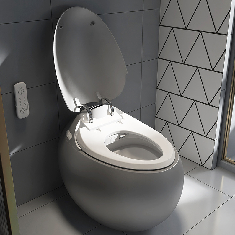 Minimalist Ceramic Egg Smart Toilet in Matte Grey – Advanced Intelligent Bidet System
