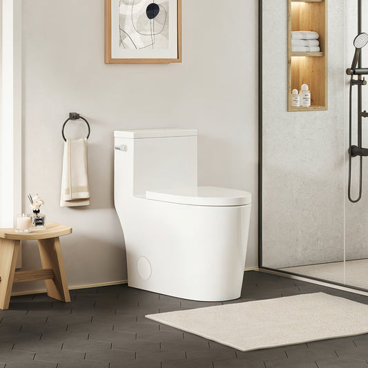 Braila Side-Flush Elongated One-Piece Toilet with ADA Chair Height